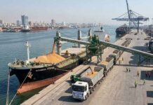 Pakistan’s US Soybean Imports Top 1M Metric Tons as Agricultural Trade Expands