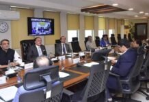 Pakistan Approves Framework for Commercial Cultivation of Genetically Modified Corn
