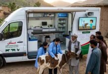 Veterinary Healthcare at Doorsteps: KP Approves Mobile Clinics to Empower Farmers