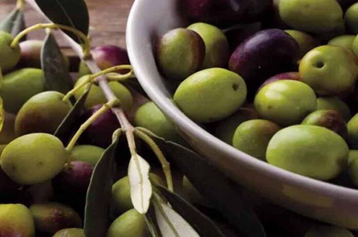 Olives
