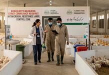 Punjab Tightens Farm Biosecurity and Antibiotic Rules to Combat AMR in Poultry Sector