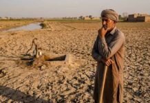 Pakistan Braces for Severe 25% Rabi Water Shortage, Threatening Wheat Crop and Food Security