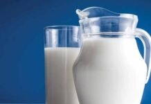 Boost for Dairy Exports: Punjab Allocates 4 Acres in Faisalabad SEZ for State-of-the-Art Camel Milk Processing Plant