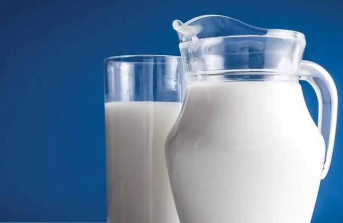 Camel_Milk_News