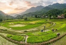 Farmers’ Body Demands 10% Budget Allocation for Agriculture, Threatens Nationwide Protests